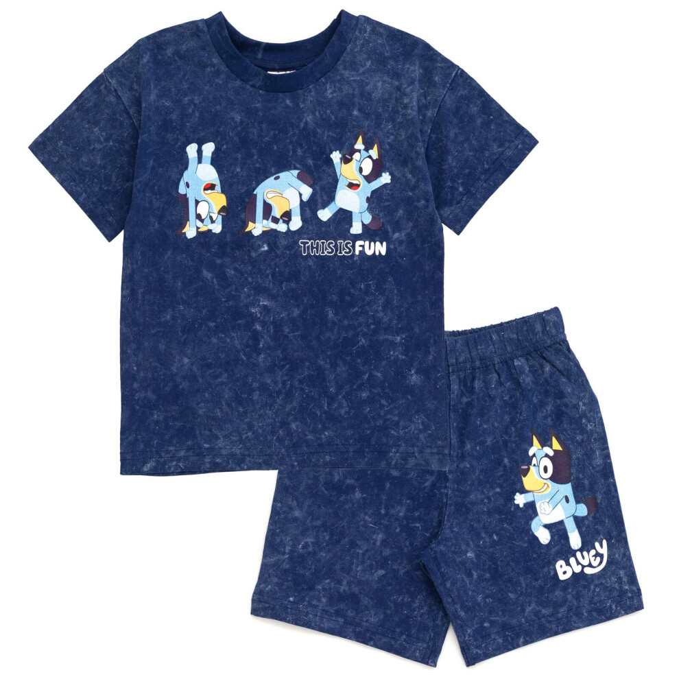 Bluey Toddler Boys Vintage Wash Drop Shoulder T-Shirt and Shorts Outfit Set 5T