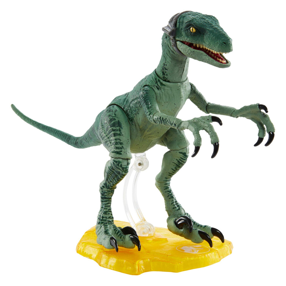 Jurassic World Toys Amber Collection Velociraptor Delta 6-in Collectible Dinosaur Action Figure with Movie-Authentic Detail  Movable Joints