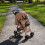 Haustierwagen mit Regenabdeckung – gewebtes Beige 12