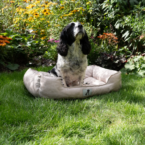 AllPetSolutions Dexter Waterproof Dog Bed Cream- Size Small