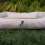 AllPetSolutions Dexter Waterproof Dog Bed Cream- Size Small 3