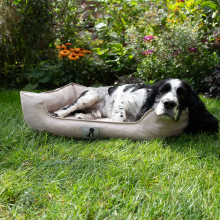 AllPetSolutions Dexter Waterproof Dog Bed Cream- Size Large