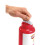 ??e???e?? ?p???? da?t???? Colorations ??a pa?d??, te????? 16 fl oz, 4 ????ata, ?? t????? ?p????, pa?d??? ?p???? da?t????, ?p???? a?s??t???a??? da?t??? 4