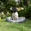 AllPetSolutions Dexter Waterproof Dog Bed  Grey - Size M 75x58x19cm 4