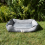 AllPetSolutions Dexter Waterproof Dog Bed  Grey - Size M 75x58x19cm 6
