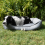 AllPetSolutions Dexter Waterproof Dog Bed  Grey - Size M 75x58x19cm 1