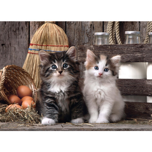 Clementoni Clementoni ""Cute Kittens Puzzle (1000 Piece) 1