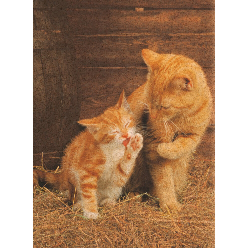 Creative Toy Company Cork Puzzles Ginger Cats 500 Piece Puzzle