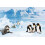 Steiff Steiff Robby Seal - Plush Soft Toy 4