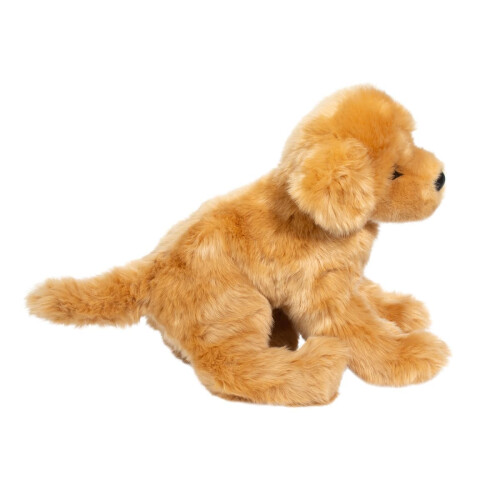 Douglas Douglas Bella Golden Retriever Dog   e???d??a ?e  ?st? ??? 1