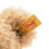 Steiff Steiff Fynn In Suitcase Tan  11 inches 4