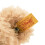 Steiff Steiff Fynn In Suitcase Tan  11 inches 3