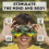 Puzzle Lumene SHASHIBO ARTICO 3
