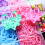 Rainbow Loom BFF Mega-Button-Set mit neuem BFF Loom 5