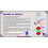 Circuit Blox Lights 'n Motion- Set per Aula 2