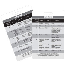 Carte de badge verticale de reference du graphique du nerf cranien - Excellente ressource pour les infirmieres cliniques des infirmieres et les e
