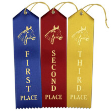 RibbonsNow Horse Show Ribbons 1st - 2nd - 3rd Place - 75 Total Ribbons - 25 Each Place with Card & String