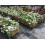 (Large) Open Trough Planter. New open style design. 3