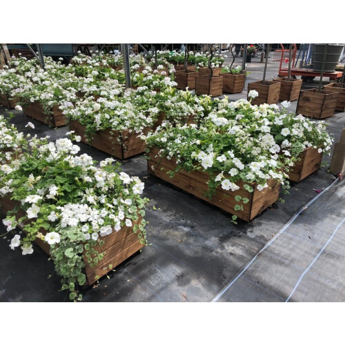 (Large) Open Trough Planter. New open style design. 2