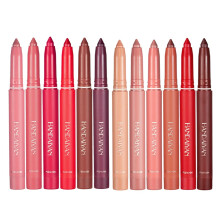 Pakivs 12 Colors Crayon Lipstick Set Non-Fading Non-Stick Cup Matte Lipstick Pen Waterproof Long Lasting Velvet Lipstick Pencil Lip Liner (