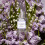 CZYSTY KLASYCZNY Wiosenny Breeze 60ml 5