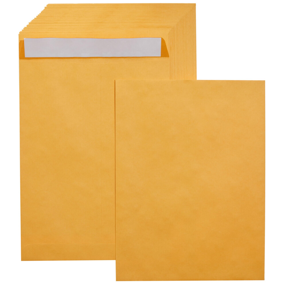 Amazon Basics Catalog Mailing Envelopes  Peel and Seal  9x12 Inch  Brown Kraft  100-Pack