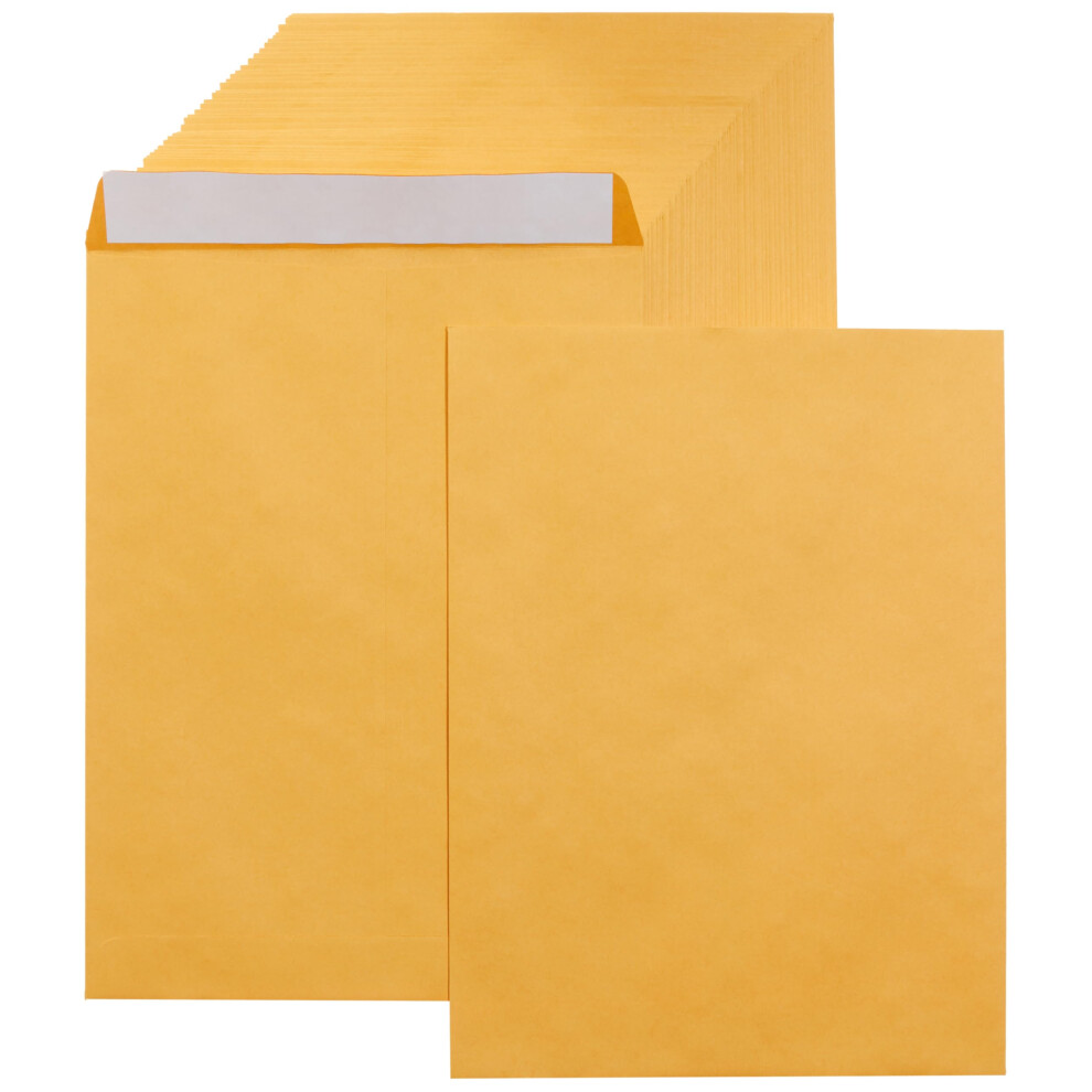 Amazon Basics Catalog Mailing Envelopes  Peel and Seal  9x12 Inch  Brown Kraft  250-Pack