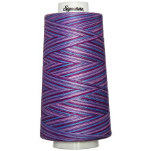 Signature 49S-F155 Baumwoll-Steppgarn, 2744 m, buntes Stiefm  tterchen-Patch