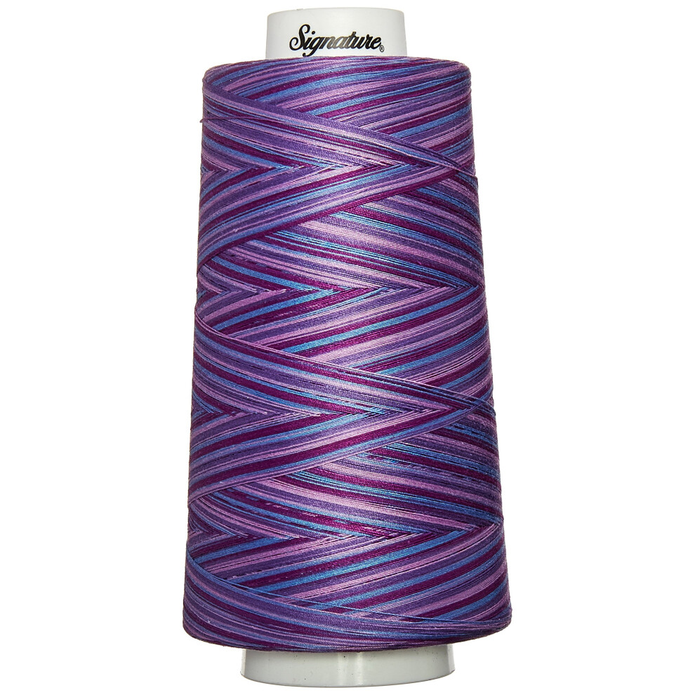 Signature 49S-F155 Cotton Quilting Thread  3000 yd  Variegated Pansy Patch