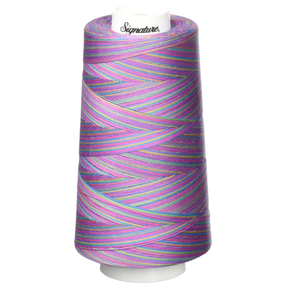 Signature Thread  40wt/3000 yd  Variegated Fad 5