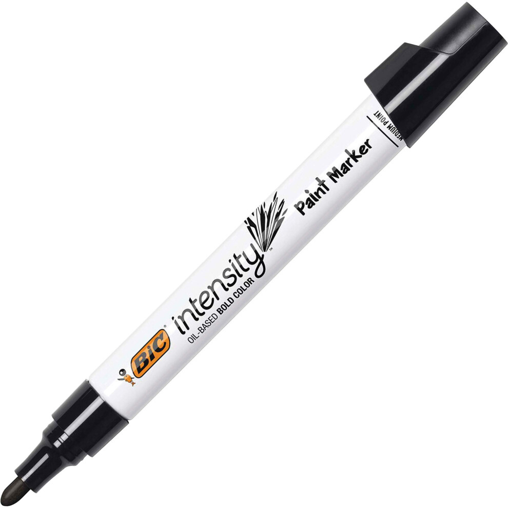 BIC Intensity Paint Markers  Assorted