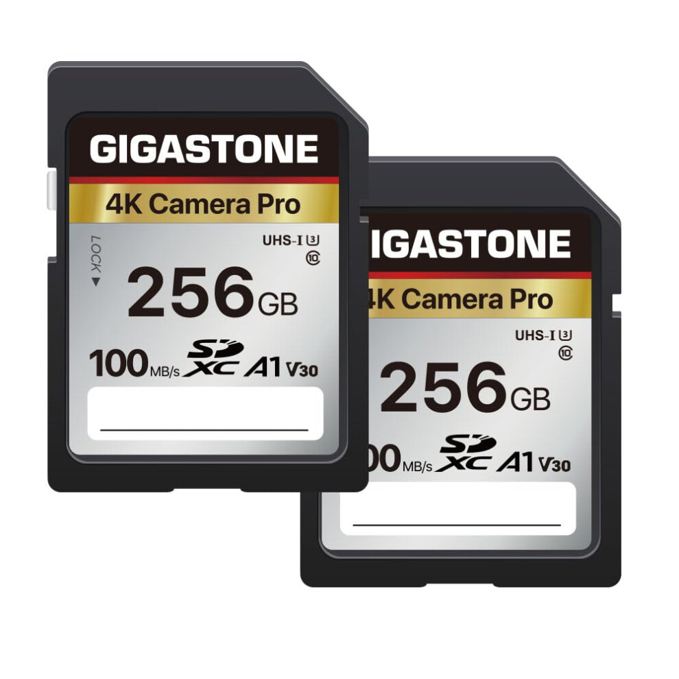GIGASTONE 256GB SDXC 2-Pack A1 V30 U3 High-Speed SD Cards for 4K UHD, Canon Nikon Sony Pentax Kodak Olympus Panasonic, B09KZPBND5