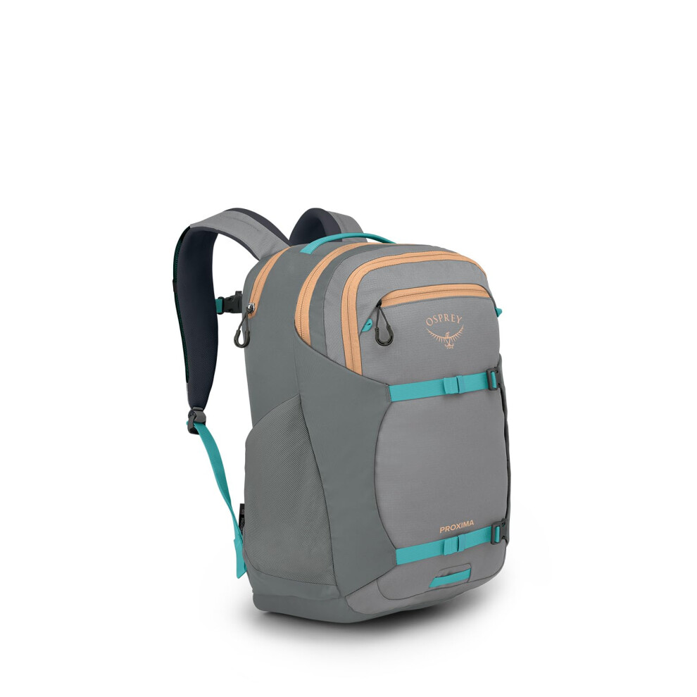 Osprey Proxima 30L Laptop Commuter Backpack  Medium Grey/Coal Grey