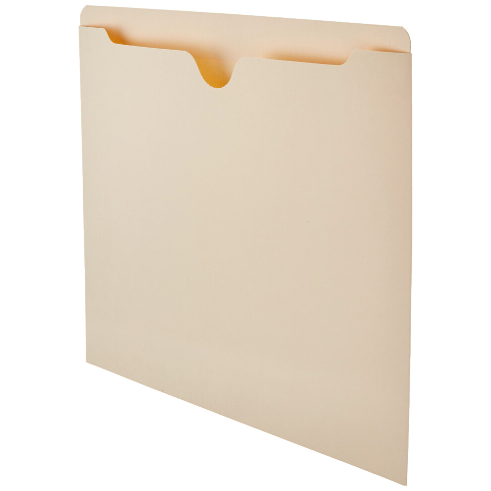 Amazon Basics File Folders Jacket  Reinforced Straight-Cut Tab  Flat-No Expansion  Letter Size  Manila  100-Pack - AMZ600