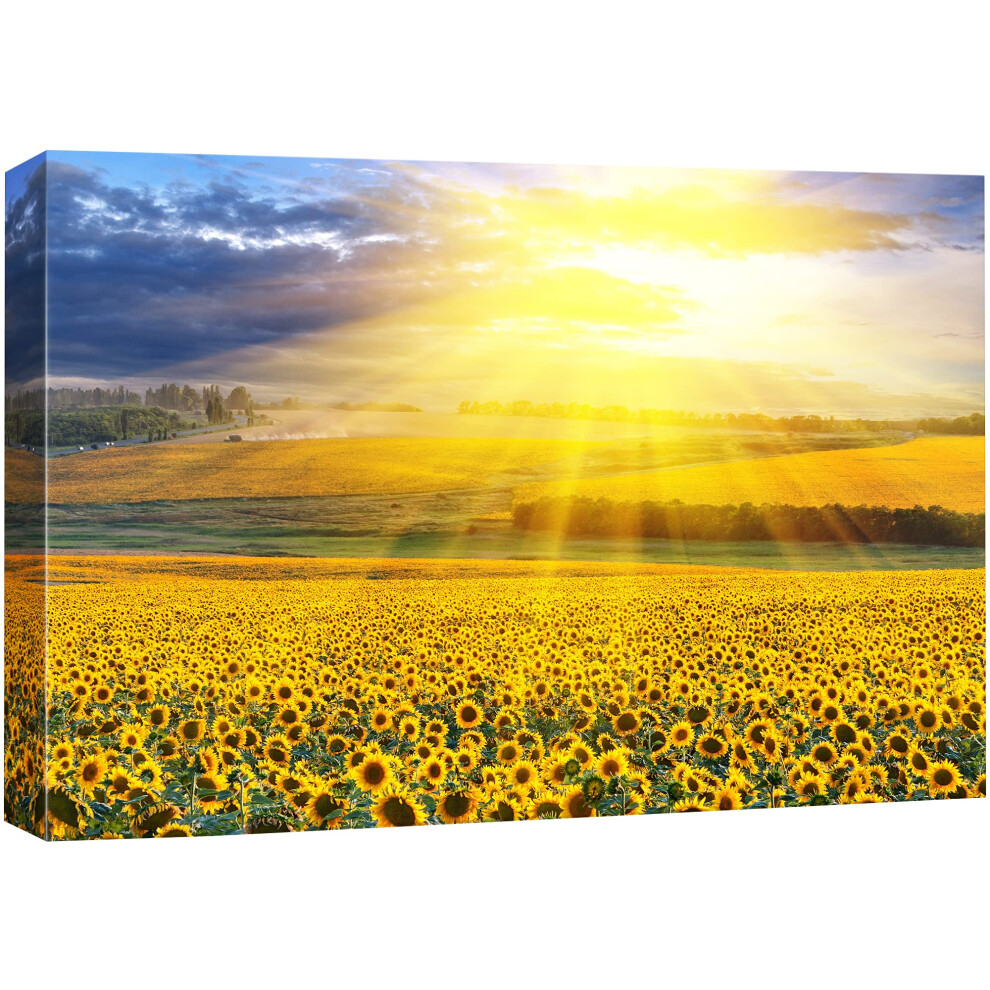 Impression sur toile SIGNFORD Art mural Lumi   re du soleil brille sur un champ de tournesols Plantes florales Photographie R   alisme Contemporain P