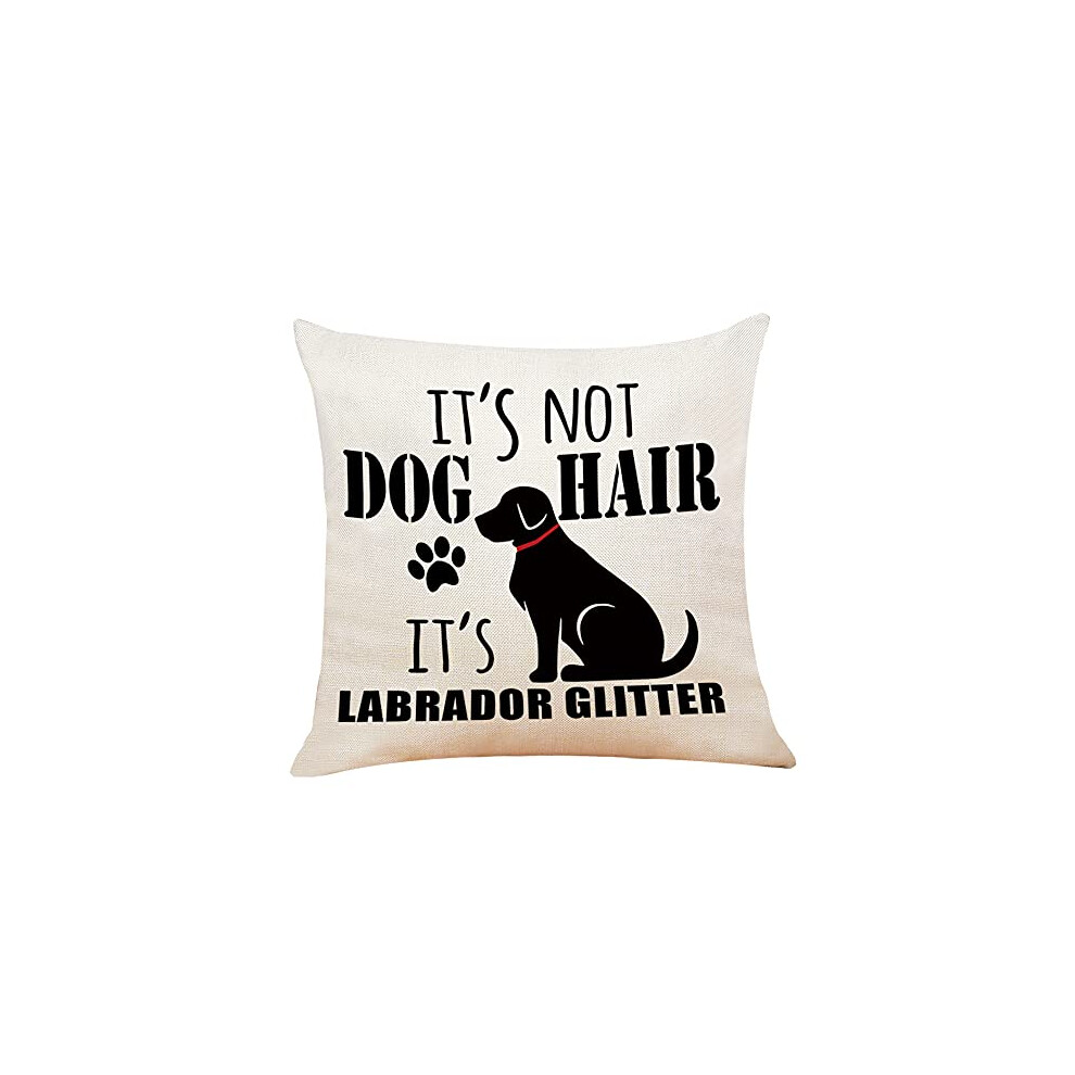 M-Qizi Labrador Retriever Pillow Covers  Black Lab Gifts  18x18 Inch Decorative Labrador Pillow Cover  Black Labrador Retriever Gifts  Choco