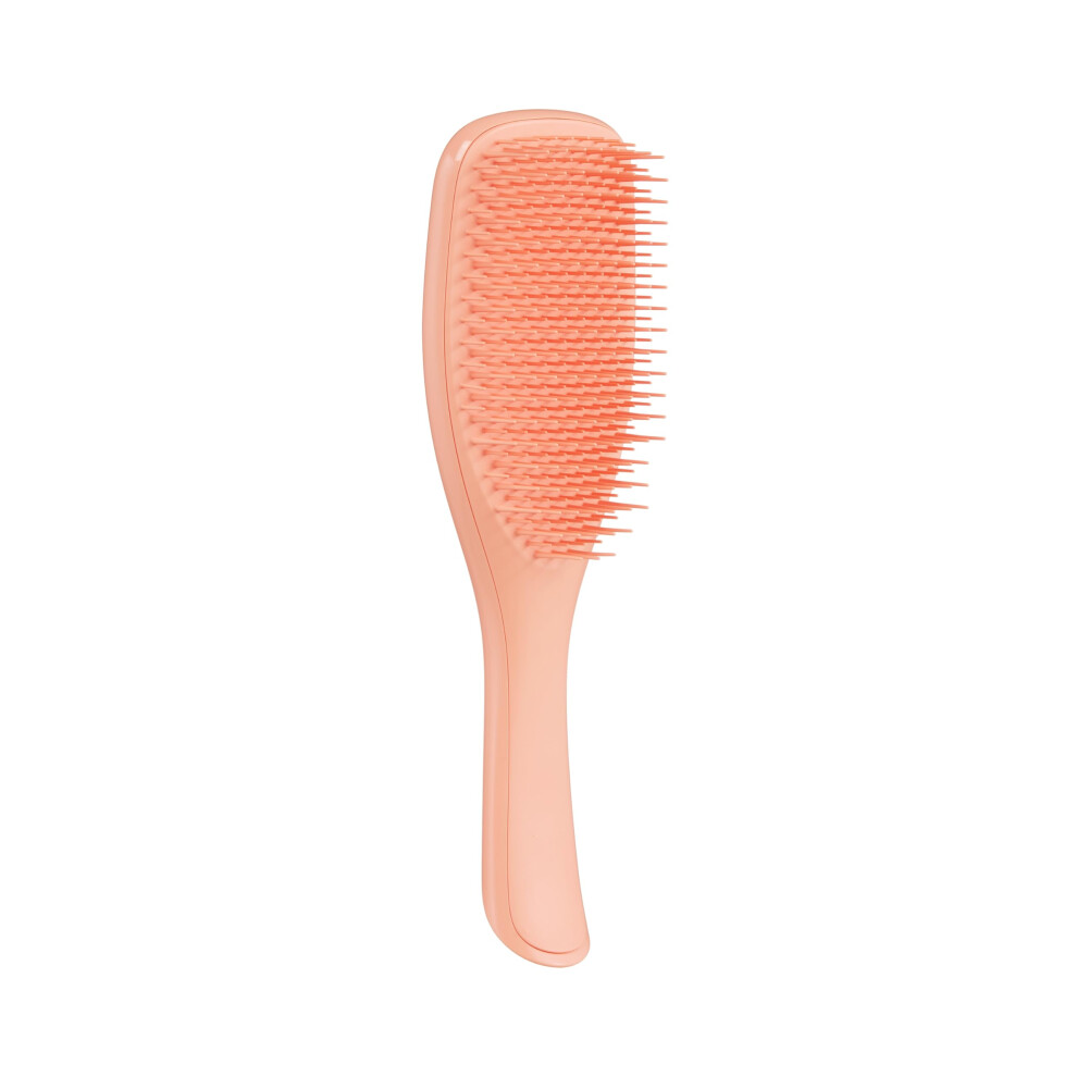 Tangle Teezer Ultimate Detangler Hairbrush for Wet & Dry Hair  Eliminates Knots & Reduces Breakage for All Hair Types  Amazon Exclusive Apri