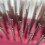 Philips Spazzola per capelli Phillips Brush Ruby Red Light Touch 6 - Parte della collezione Gem 4