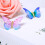 Fermagli per capelli a farfalla, con glitter, per ragazze e donne, con chiusura a farfalla, accessori per capelli (classici) 3