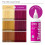 Kiss Tintation Ημι-Μόνιμη Θεραπεία Χρώματος Μαλλιών 148 mL (5 US fl.oz) (Φούξια) 3