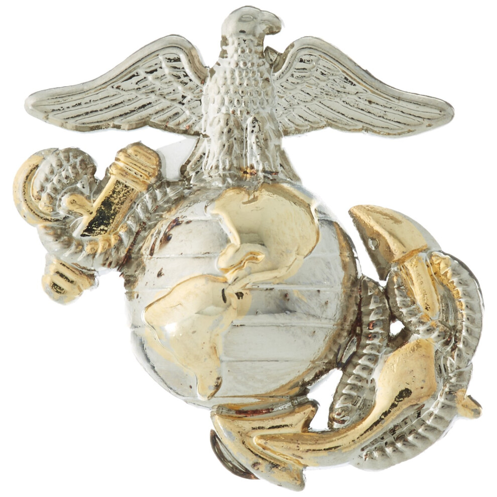 EagleEmblems P10246 Pin