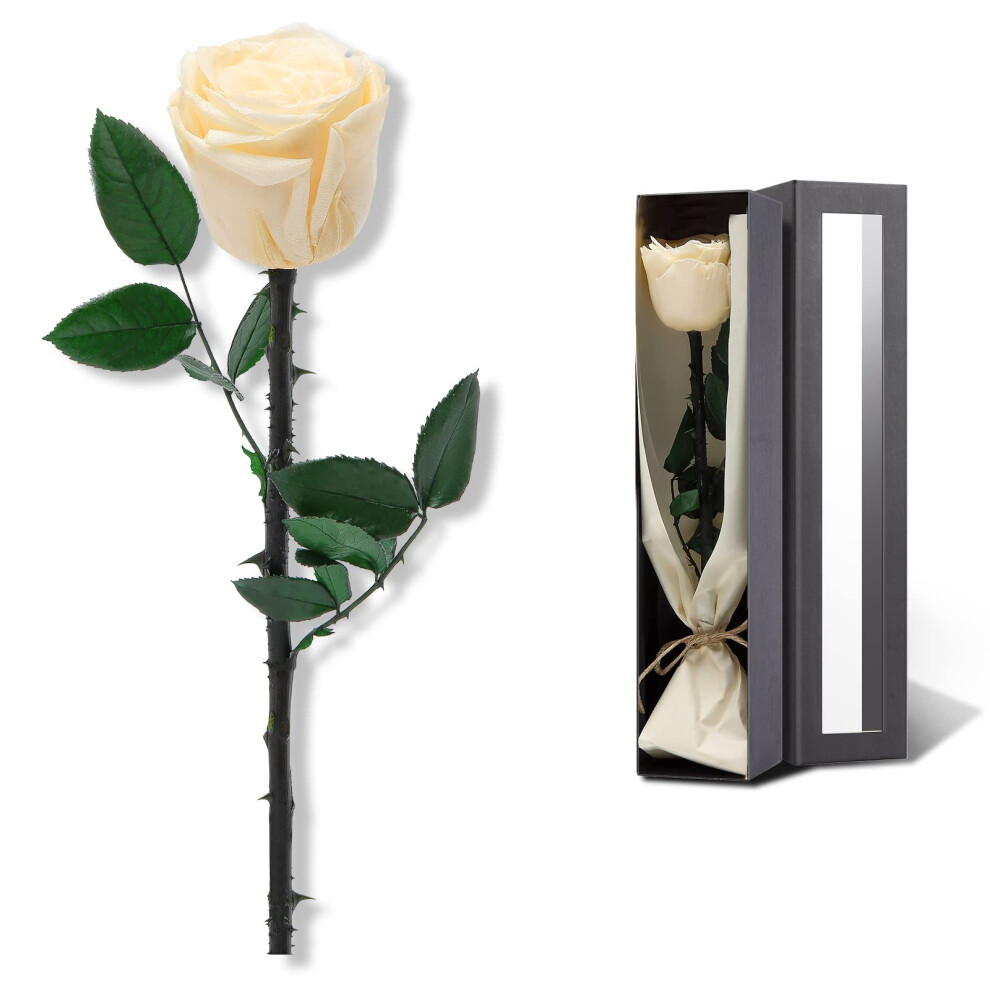 Valentines Day Gifts for Her Valentines Rose Flowers Birthday Gifts for Women Valentines Gifts for Wife Preserved Rose  Preserved Flowers fo-image-OPC-PFNQTMR-NEW