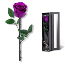 Mothers Day Rose Flower -gvor till mamma frn dotter och son mamma gvor fr mormor fdelsedagspresenter fr kvinnor bevarade ros bevarade blomm