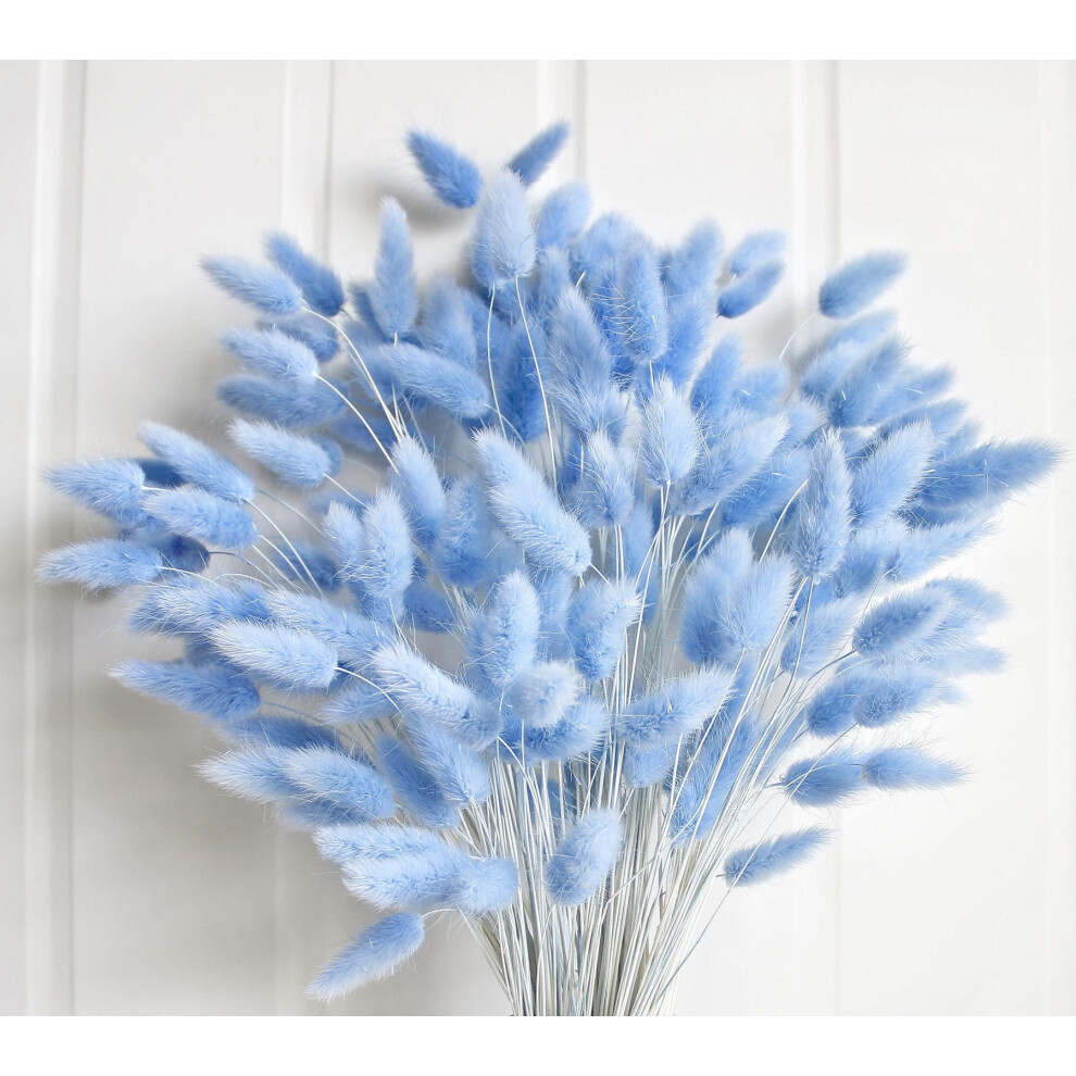 120 PCS Blue Dried Pampas Grass Decor  17-inch Pompas Floral  Dry Flowers for Decoration  Pampas Grass in Bulk Tall  Blue Bunny Tails Dried