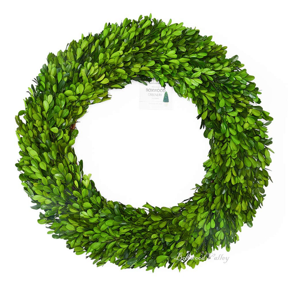 BOXWOOD VALLEY 20 inch X-Large Preserved Boxwood Wreath  Wedding Home Decoration Full Green Real Boxwood Wreath  Indoor D?cor for Halloween