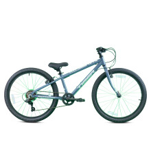 (Grey ) Tiger Beat 20 MTB Various Colours 7 Speed