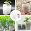 100PCS Biodegradable Non-Woven Nursery Plant Bags 9