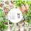 100PCS Biodegradable Non-Woven Nursery Plant Bags 16