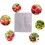 100PCS Biodegradable Non-Woven Nursery Plant Bags 6