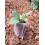 100PCS Biodegradable Non-Woven Nursery Plant Bags 15